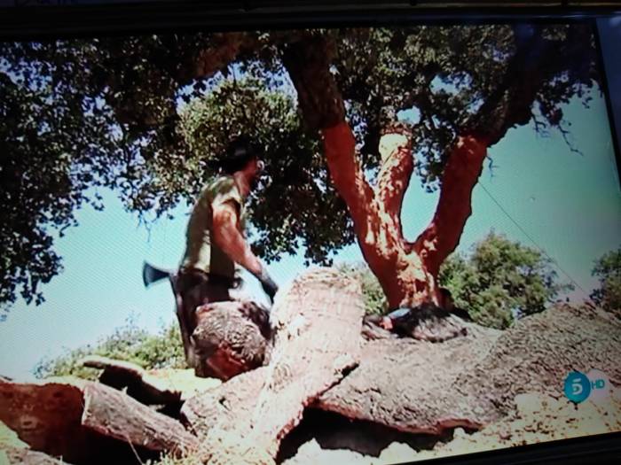 telecicno corcho extremadura