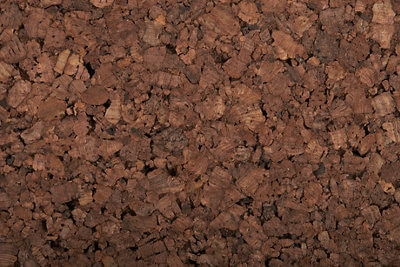 Proyectos de futuro con corcho