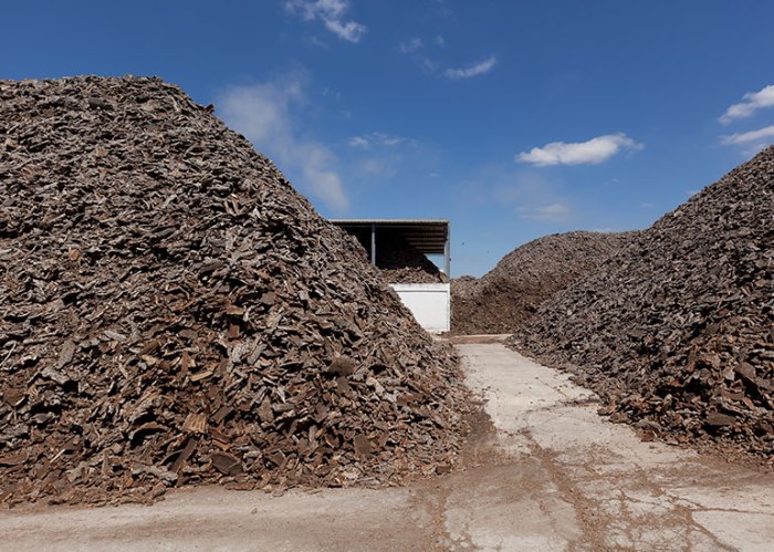 Nace el Sate Ecológico