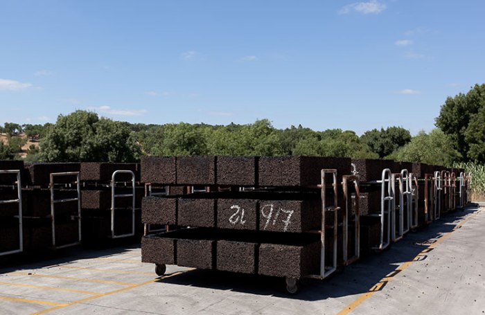 Nace el Sate Ecológico