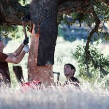 El corcho, la naturaleza,  el comercio, y la esperanza.