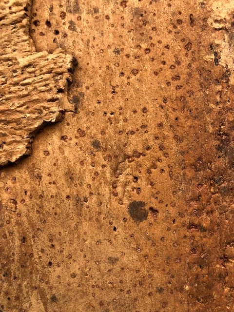 ¿Cómo mejora el corcho el Plan de Choque en Climatización?