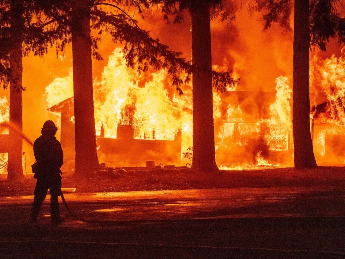 ¿Cómo actúa el corcho de&nbsp;cortafuegos?