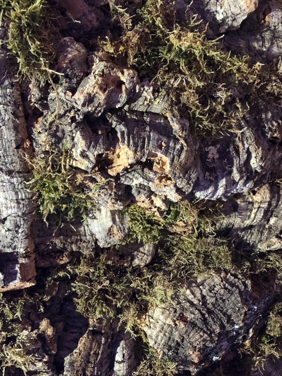 ¿Construyes de forma técnica y sostenible con&nbsp;corcho?